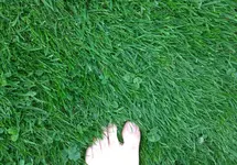 Unkraut 1_Detail3.webp