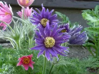 RIMG0016.webp