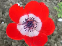 RIMG0030.webp