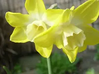 RIMG0035.webp