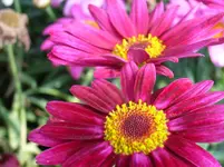 RIMG0048.webp