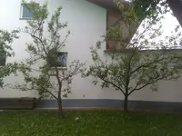 IMAG1040.webp