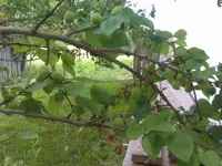 IMAG1044.webp