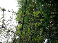 IMG_20130517_182309.webp