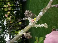 IMG_20130517_182451.webp