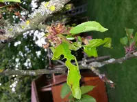 IMG_20130517_182513.webp