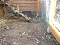 2012-09-14 17.05.50.webp