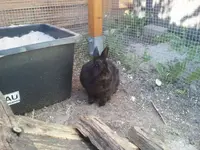 2012-09-08 16.50.30.webp