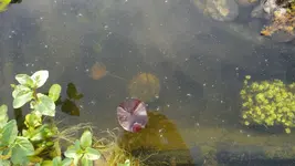 DSC07323.webp