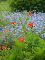 012.webp