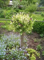 022.webp