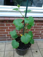 20130518_101411.webp