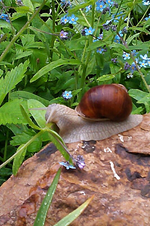 IMG-20130518-WA0001.webp