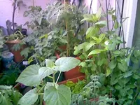 Balkon 18.webp
