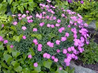 180520131131.webp