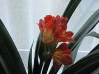 035.webp