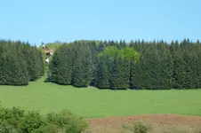 2013_0518Frühling0037.webp