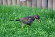 IMG_3764.webp