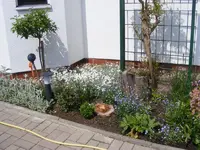 Erkerbeet 19.5.2013.webp