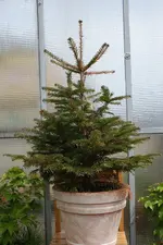 DSC01410.webp