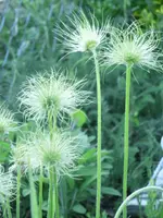 CIMG3174.webp