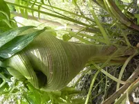 DSCN1216.webp