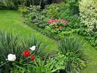 Rhod-Quartier neu formiert.webp
