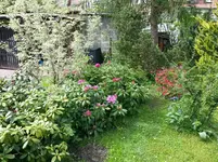 Hier geht´s natürlich zu.webp