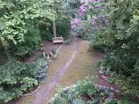 WeCallItPark.webp