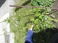 DSCN1257.webp