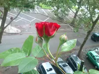 DSC_0757.webp
