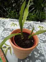 SAM_1197 - Kopie.webp
