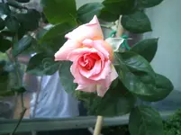 DSC_0764.webp