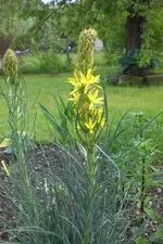 Garten 05 4 2013 012.webp