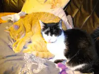 IMGP0530.webp