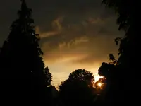 DSCN6062.webp