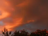 DSCN6174.webp
