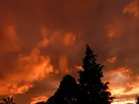 DSCN6177.webp
