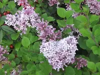 024.webp