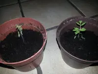 20130521_013706.webp