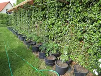 K1600_IMG_0001.webp
