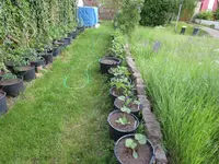 K1600_IMG_0008.webp