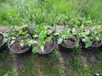 K1600_IMG_0004.webp