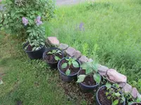 K1600_IMG_0011.webp
