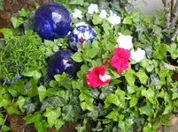 DSCN2047.webp
