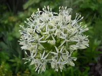 DSCN2056.webp