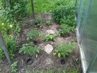 Plourde21_5_13.webp