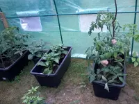 FolienRechts21_5_13.webp