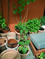 DSC_5824.2.webp