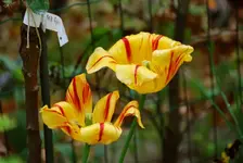 DSC_5686.2.webp